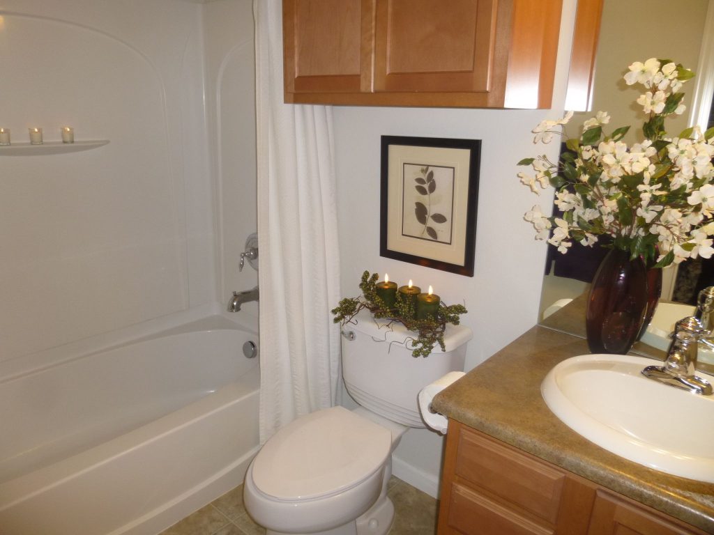 STAGING AN OUTDATED BATHROOM Karen Conrad