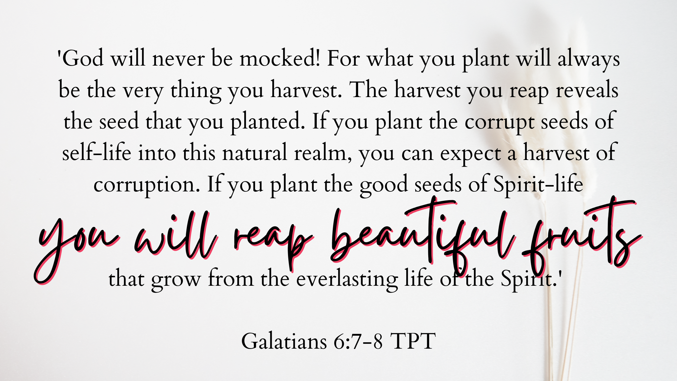 you will reap beautiful fruits Reorganize. Breaking Bad Habits, Starting Good Habits, Resolutions, Re-evaluating, Reaping and Sowing, ROI, Return On Investment