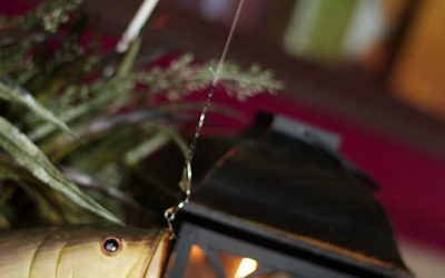 PART II: ENTERTAINING TROUT FISHERMAN? ONE ITEM MAKES ALL THE DIFFERENCE