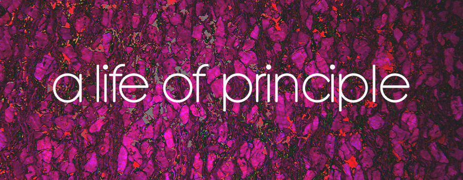 A Life of Principle