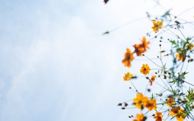 You Have a Unique Purpose