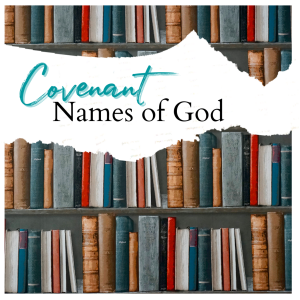 bible, scripture, names of God, free download, covenant, bible study, Womens bible study, Jehovah, Jesus, God, Holy Spirit