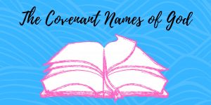 Bible, Names of God, Meditate, Communicate, Experience, Building Your Faith, Inheritance, Character, Believer, Covenant