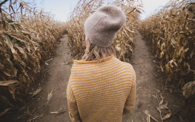 How to Combat Decision Fatigue with a Life of Biblical Principles