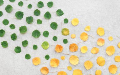Catapult Change: 3 Signs It’s Time for a Transition