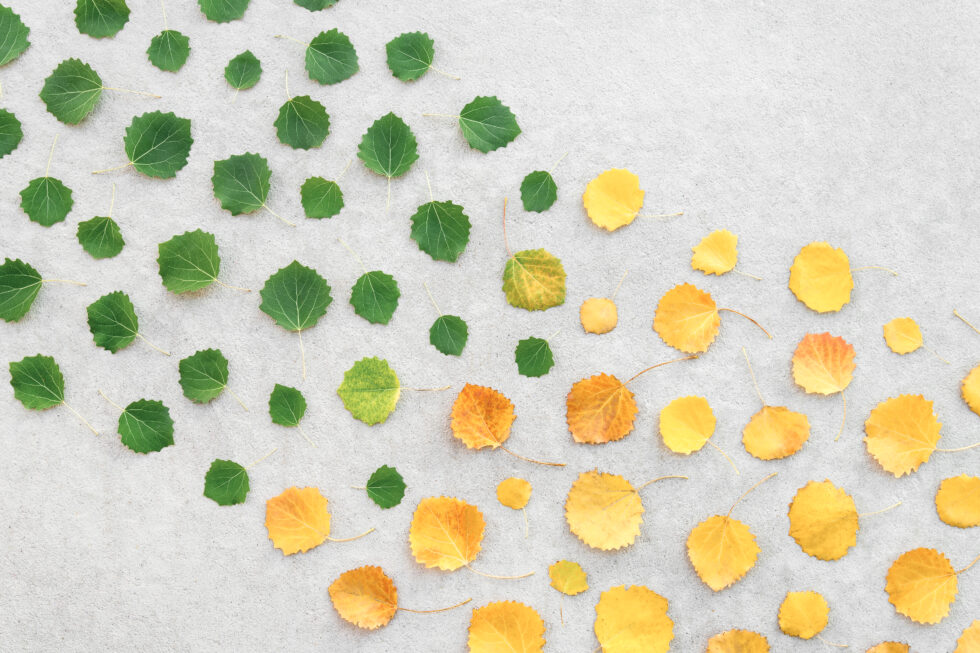 Catapult Change: 3 Signs It’s Time for a Transition