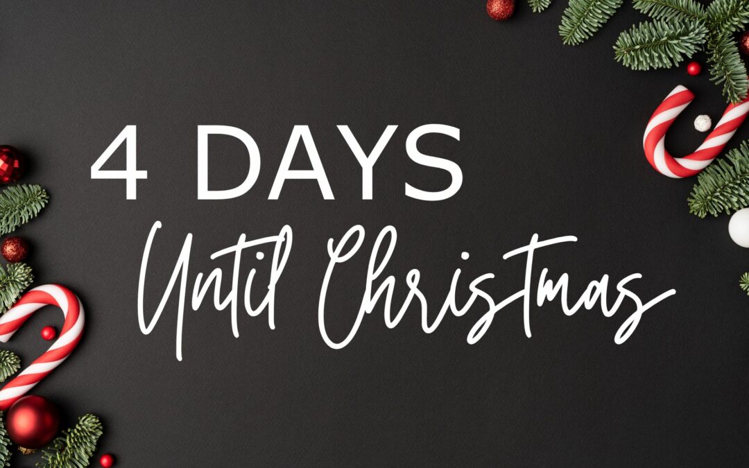 Mentorship, Level Up Ladies, Women in business, Entrepreneurs, Women in Leadership, Biblical Principles, Business Training, High Level Leadership, End of Year, Year End Review, Goal Setting