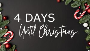 Mentorship, Level Up Ladies, Women in business, Entrepreneurs, Women in Leadership, Biblical Principles, Business Training, High Level Leadership, End of Year, Year End Review, Goal Setting