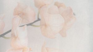 Hospitality, Design, Design Hacks, Remodel on a Budget, Home Staging, Home Furnishing, Vacation Rentals, Purpose, Talents, Fulfilled, Joy, Challenges, Daily Grind, Family, Blessing, Daily Life, Love What You Do