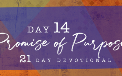 Tools To Fulfill Your Purpose