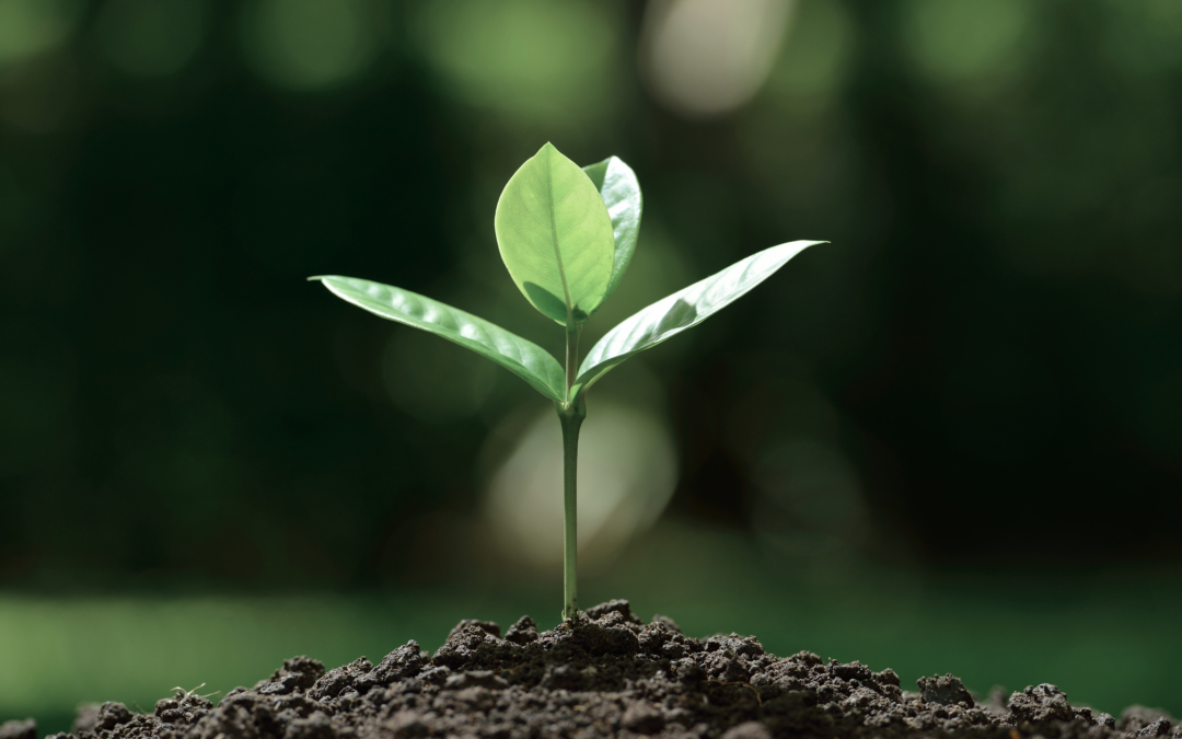 Your Success is God’s Idea